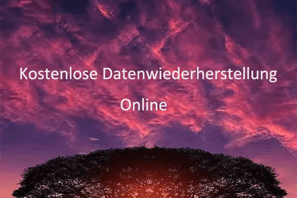 So stellen Sie die Daten kostenlos online wieder her