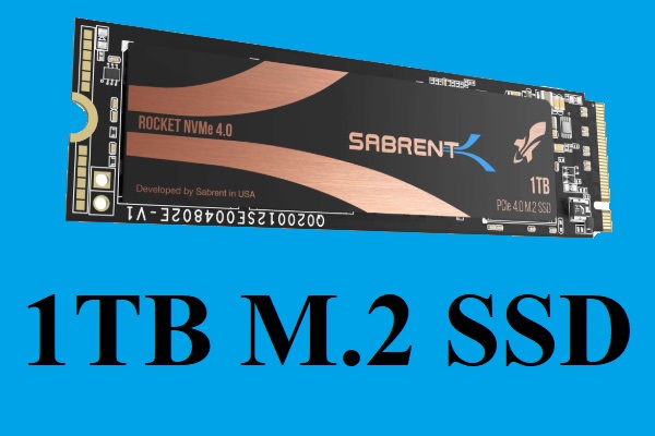 Top 5 1TB M.2 SSDs : Welche sollten Sie wählen