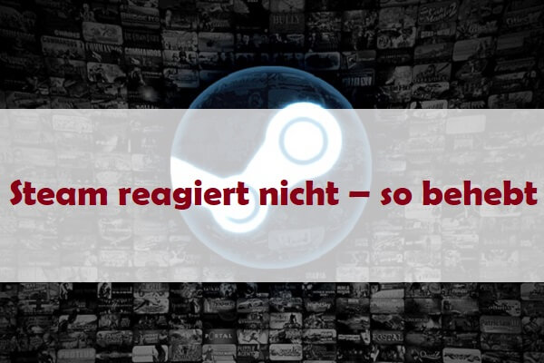 10 Lösungen: Steam reagiert nicht – so behebt