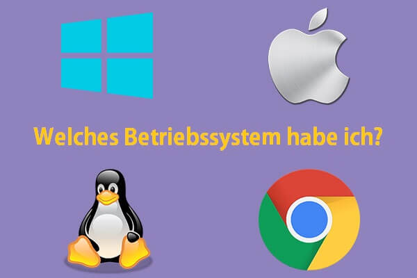 Welches Betriebssystem habe ich?