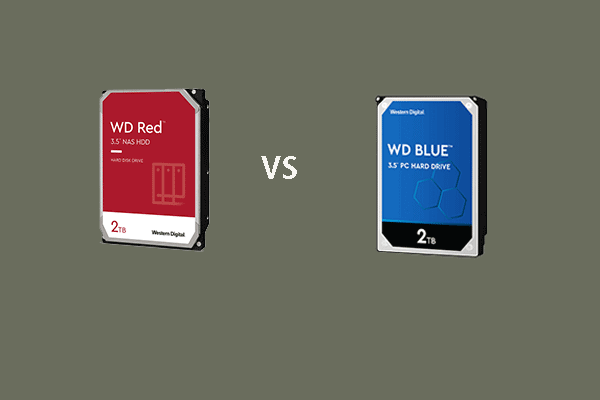 WD Red oder WD Blue: Was ist der Unterschied und welche ist besser?