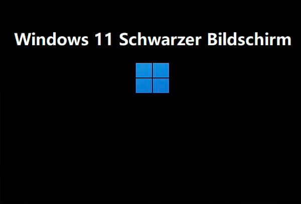 Lösung zum schwarzer Bildschirmfehler Windows 11 und Datenrettung