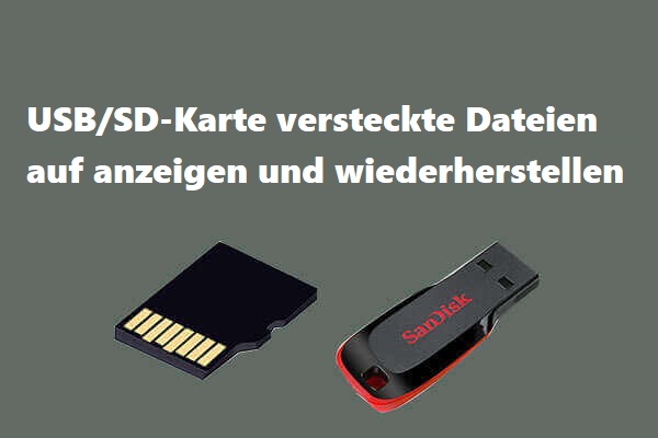 Versteckte Dateien anzeigen und wiederherstellen (USB/SD-Karte)