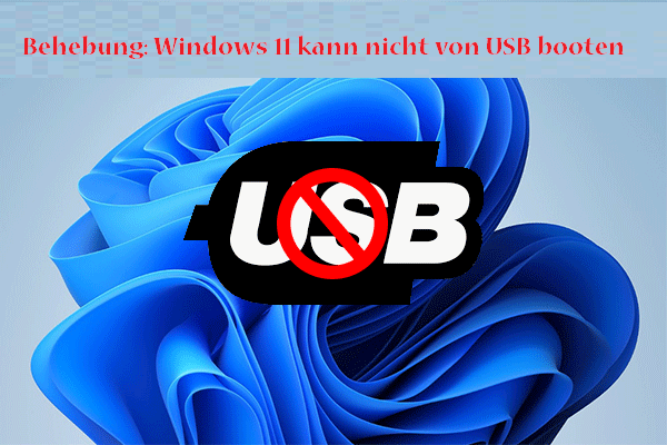 Windows 11 kann nicht von USB booten! Wie man es repariert?