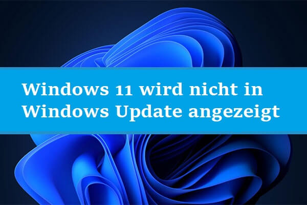 Windows 11 wird nicht in Windows Update angezeigt (7 Lösungen)