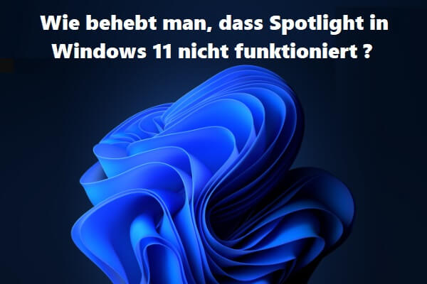 Wie behebt man, dass Spotlight in Windows 11 nicht funktioniert?