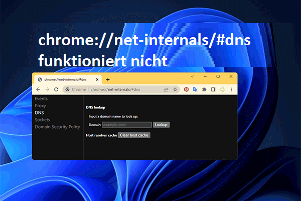 chrome://net-internals/#dns: Was ist das und wie kann man es beheben?