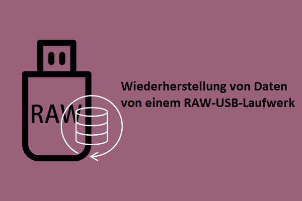 Wie kann man Daten von einem RAW-USB-Laufwerk unter Windows wiederherstellen?