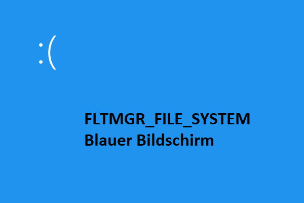 FLTMGR_FILE_SYSTEM Fehler auf dem blauen Bildschirm: Wie man ihn behebt