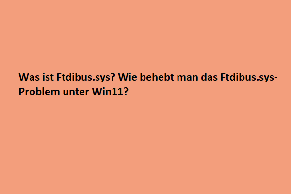 Was ist Ftdibus.sys? Wie behebt man das Ftdibus.sys Problem unter Win11?