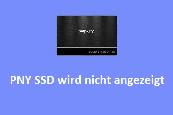 Wird Ihre PNY SSD nicht angezeigt? Schauen Sie jetzt hier!