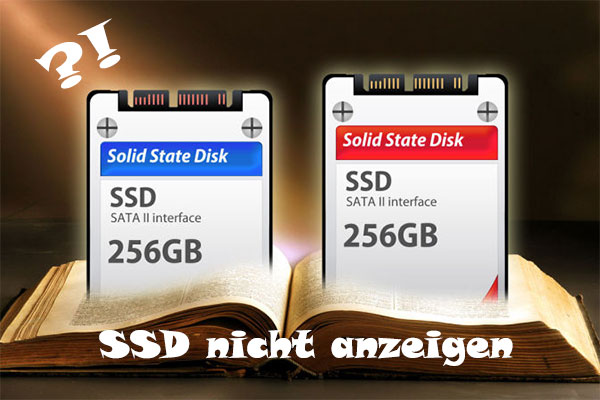 Schnell gelöst – „SSD nicht anzeigen“ in Windows, ohne Datenverlust