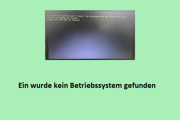 Beheben Sie das Problem Ein wurde kein Betriebssystem gefunden unter Windows 11/10