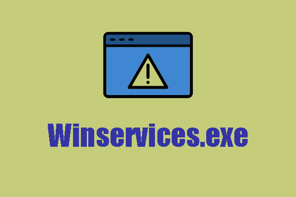 Was ist winservices.exe und wie kann man den Fehler beheben?