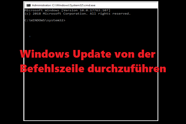2 Wege: Windows Update von der Befehlszeile durchzuführen