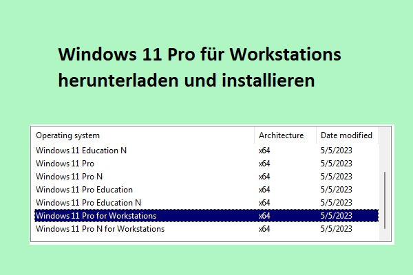 Herunterladen und Installieren von Windows 11 Pro für Workstations