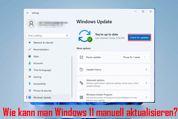 Wie kann man Windows 11 manuell aktualisieren? [4 einfache Methoden]