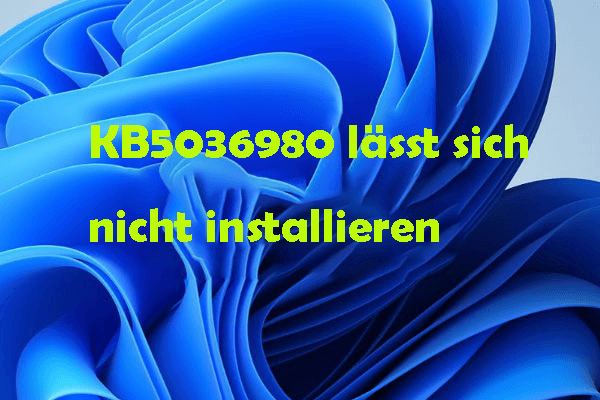 Windows 11 KB5036980 lässt sich nicht installieren – 5 Lösungen