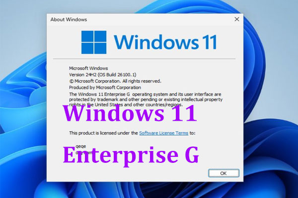 Windows 11 Enterprise G oder Government Edition: Was ist das?