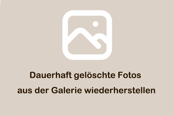 Dauerhaft gelöschte Fotos aus der Galerie auf verschiedenen Wegen wiederherstellen