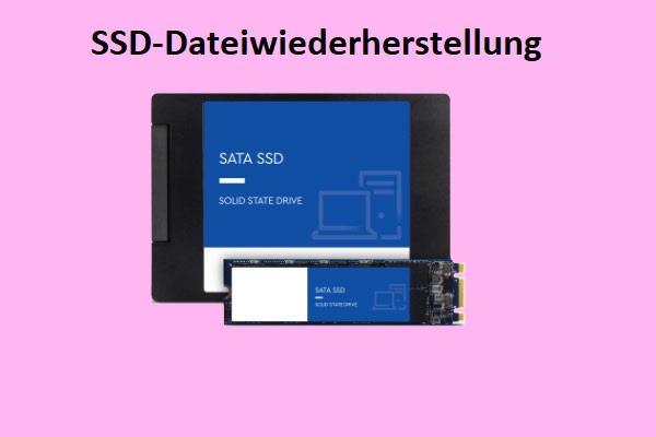 Die vollständige Anleitung zur SSD-Dateiwiederherstellung unter Windows 10/8/7/XP