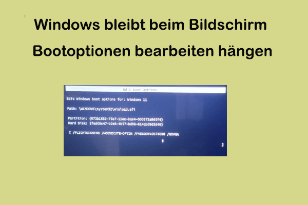 So beheben Sie das Problem „Windows bleibt beim Bildschirm Boot-Optionen bearbeiten hängen“