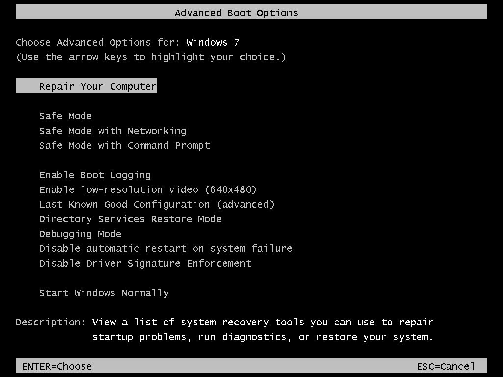 Advanced Boot Options