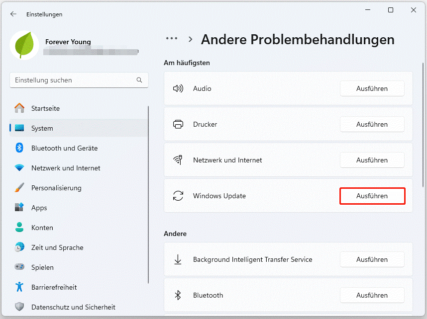 Ausführen der Problembehandlung für Windows Update