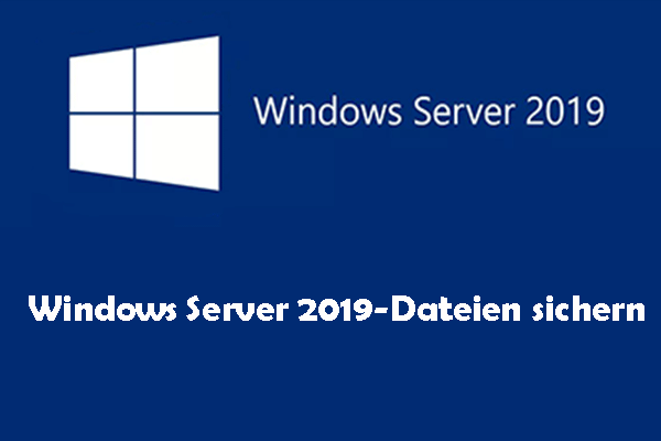 Windows Server 2019-Dateien sichern – Befolgen Sie diese detaillierte Anleitung!