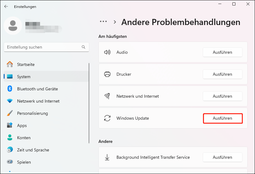 Suchen Sie Windows Update und klicken Sie auf Ausführen, um fortzufahren.