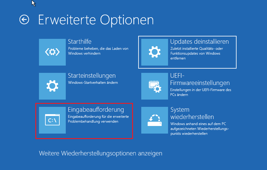 Auf der Seite „Erweiterte Optionen“ die Option „Eingabeaufforderung“ auswählen