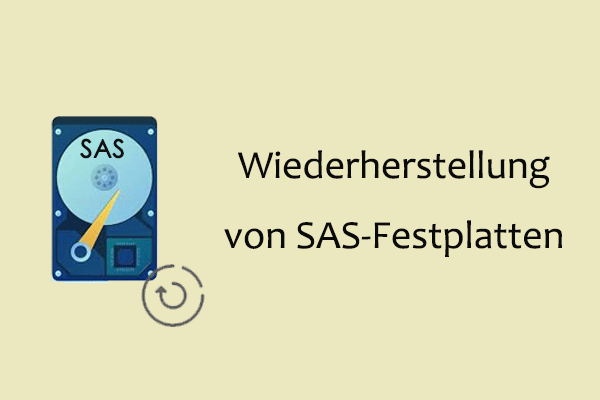 Sofortige Möglichkeiten zur Wiederherstellung einer SAS-Festplatte unter Windows
