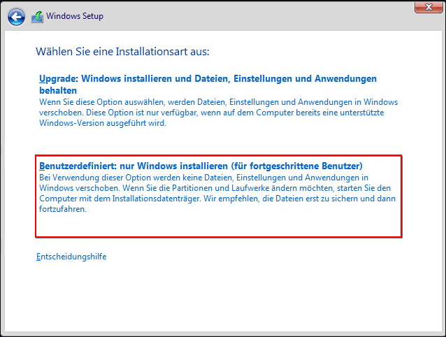 Wählen Sie den Installationstyp und wählen Sie die zweite Option