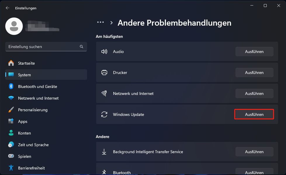 Auf Ausführen neben dem Abschnitt Windows Update klicken
