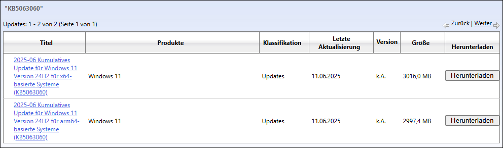 Windows 11 KB5063060 herunterladen