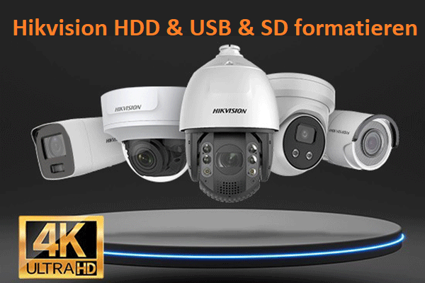 Vollständiger Leitfaden für die Formatierung von Hikvision HDD & USB & SD