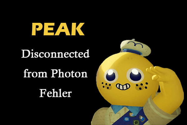Methoden entdecken, um den PEAK Disconnected from Photon Fehler auf dem PC zu beheben