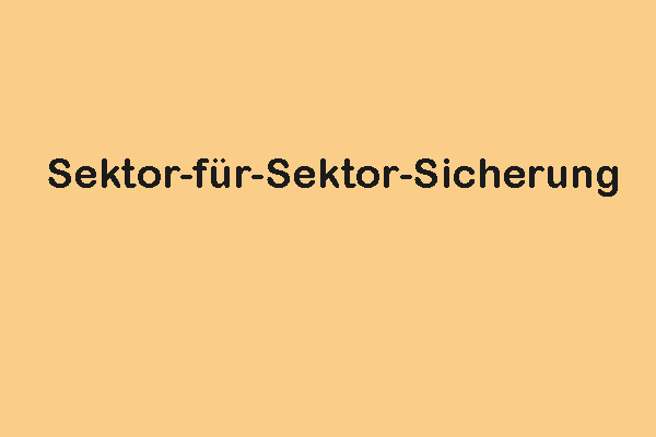 Was ist eine Sektor-für-Sektor-Sicherung und wie erstellt man sie?