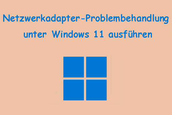 Windows 11 Netzwerkadapter-Problembehandlung ausführen – Kurzanleitung