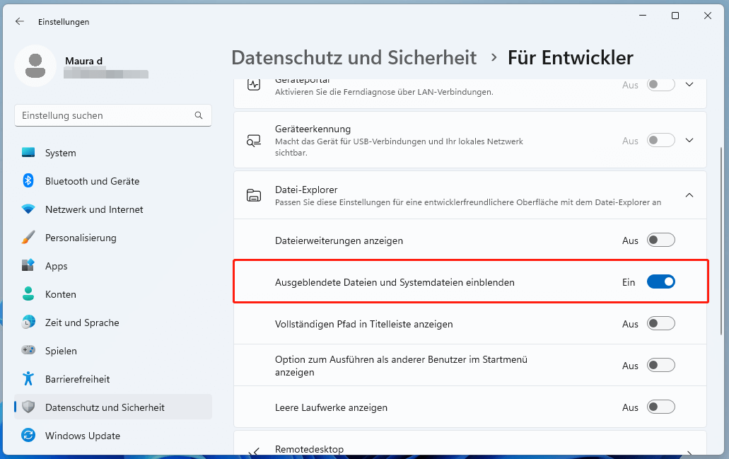 „Ausgeblendete Dateien und Systemdateien einblenden“ in den Einstellungen aktivieren