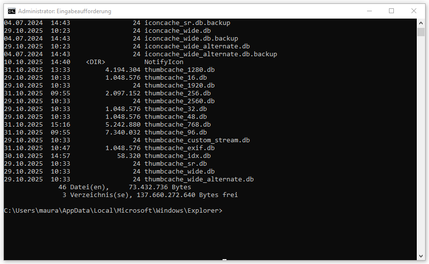 Symbolcache-Dateien über CMD löschen