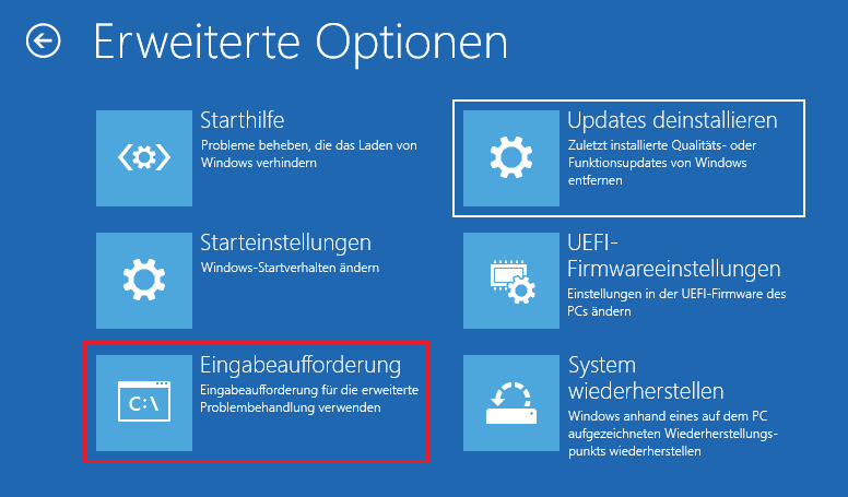 Auswahl der Funktion Eingabeaufforderung auf dem Fenster Erweiterte Optionen.