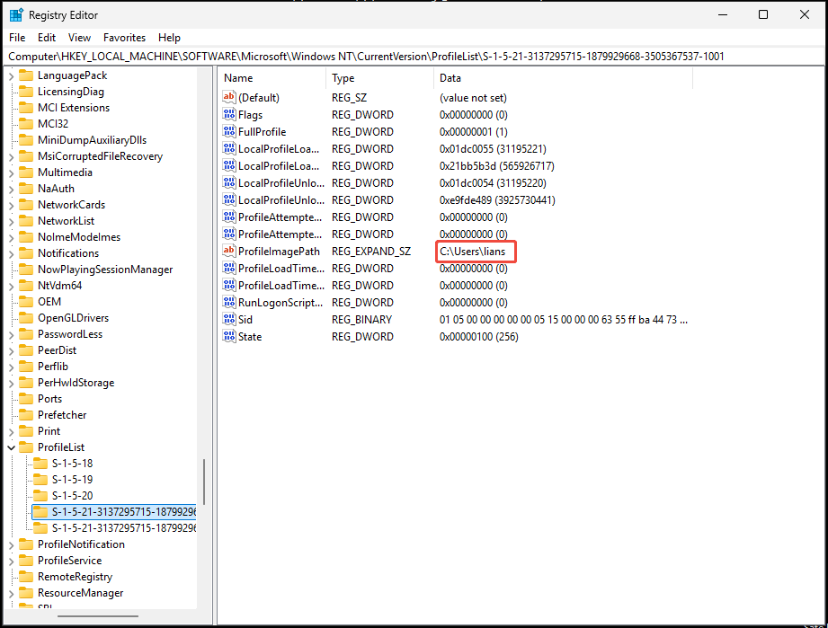 Markierung des Eintrags ProfileImagePath im Registrierungs-Editor.