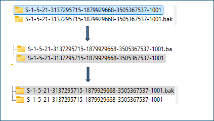 Anzeige über das Ändern der Erweiterungen der beiden SID-Ordner.