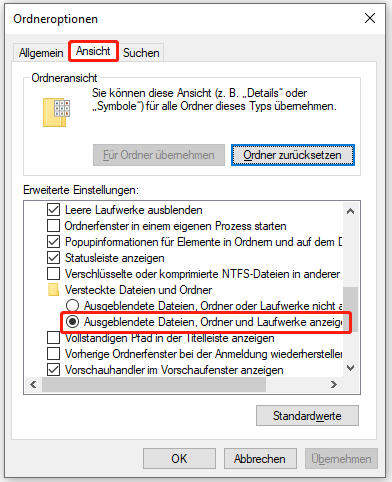 Ausgeblendete Dateien mit dem Datei-Explorer anzeigen