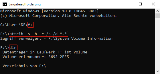 Viren mit CMD entfernen
