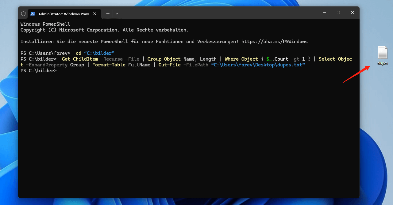 Befehle in der Windows Terminal in Windows 11.