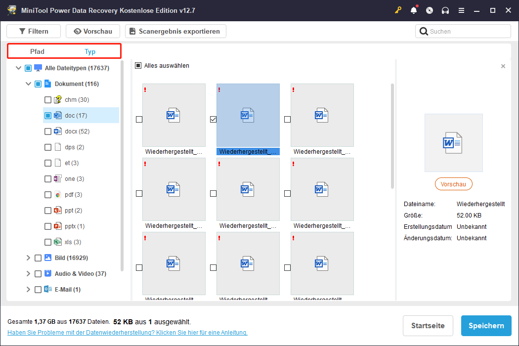 Anzeige von Dateien nach Dateipfad und Dateiformat in MiniTool Power Data Recovery.