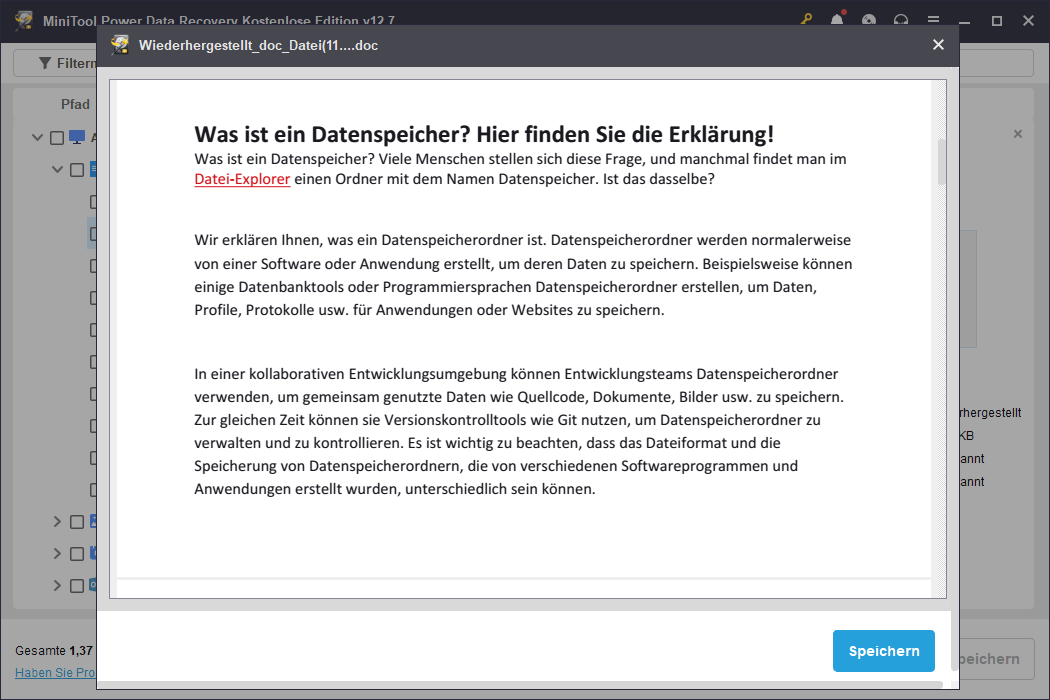 Vorschau des Word-Dokuments in MiniTool Power Data Recovery.