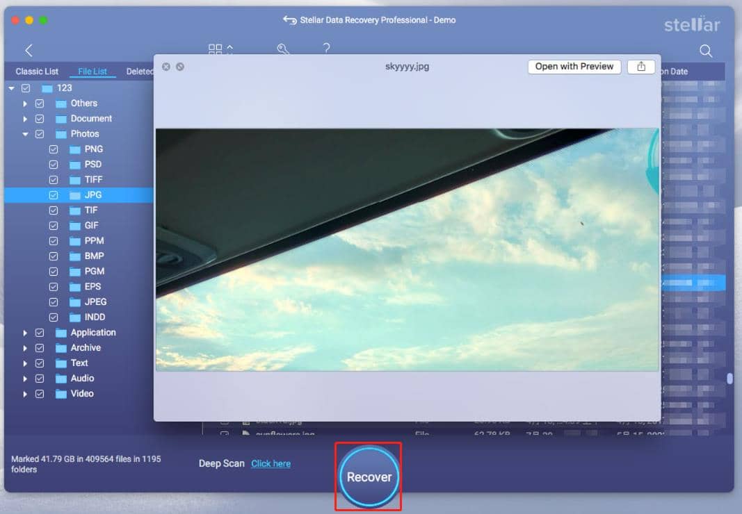 Vorschau und Wiederherstellung von Dateien in Stellar Data Recovery for Mac.
